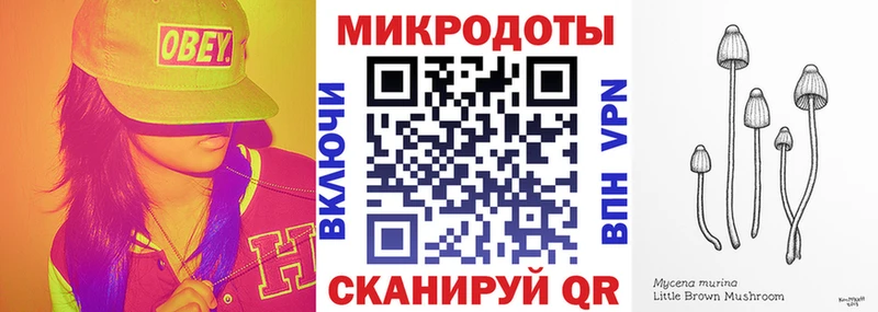 что такое   Костерёво  Галлюциногенные грибы Cubensis 